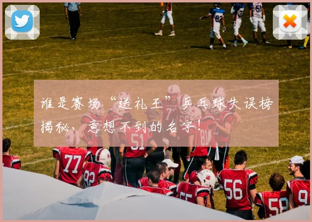 谁是赛场“送礼王”乒乓球失误榜揭秘，意想不到的名字！